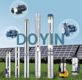 Doyin Pumps